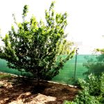 IMG_20200518_161632